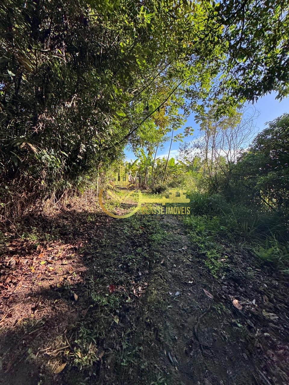 Terreno à venda em balneário piçarras-sc, bairro são brás, c - foto 3