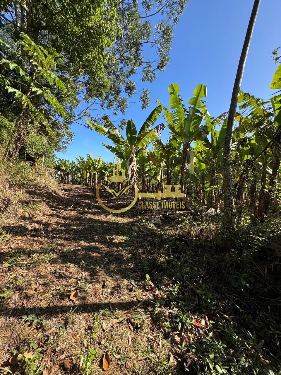 Terreno à venda em balneário piçarras-sc, bairro são brás, c - foto 2