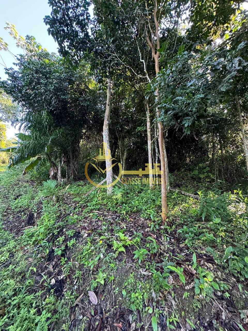 Terreno à venda em balneário piçarras-sc, bairro são brás, c - foto 5