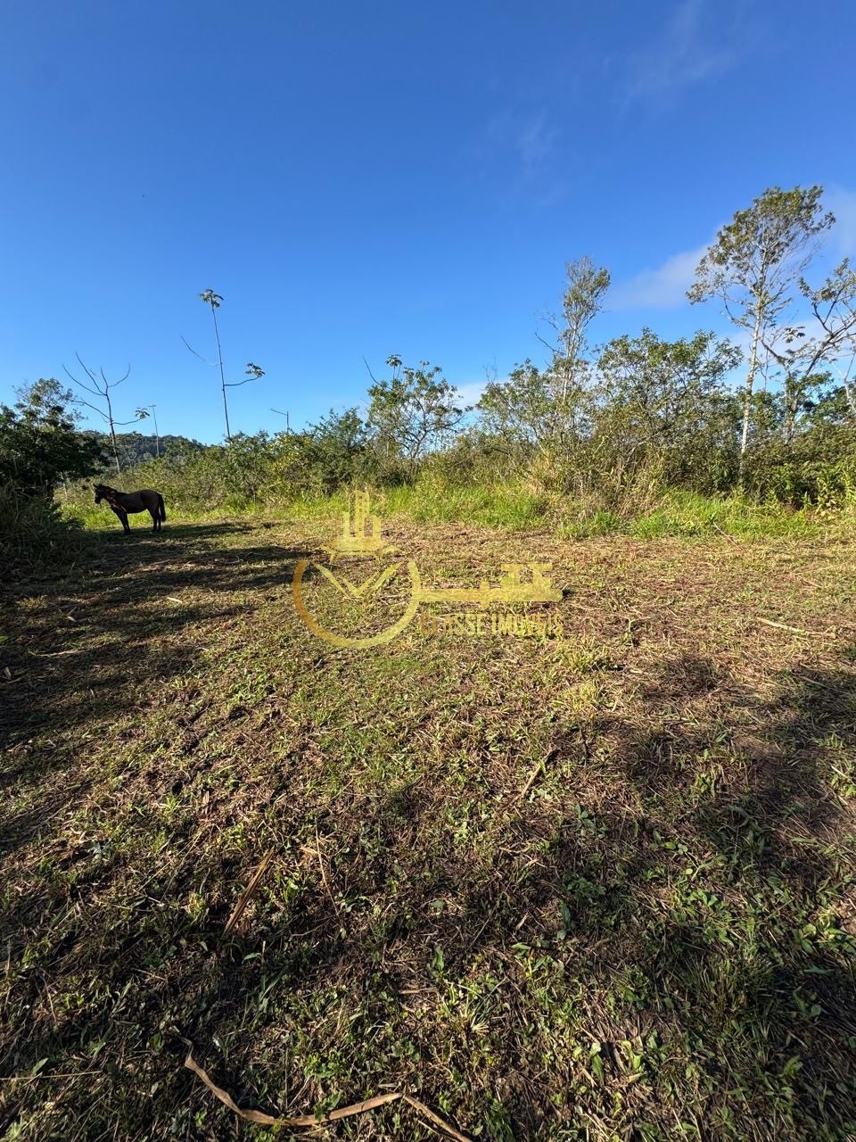 Terreno à venda em balneário piçarras-sc, bairro são brás, c - foto 7