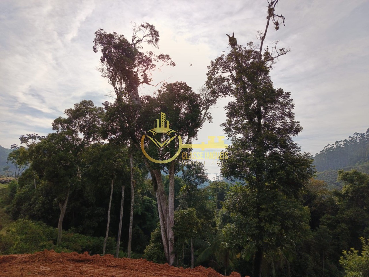 Excelente oportunidade de investimento em terreno de 1.000,00 m² à venda em Luiz Alves-SC, no bairro Braço Cumprido!