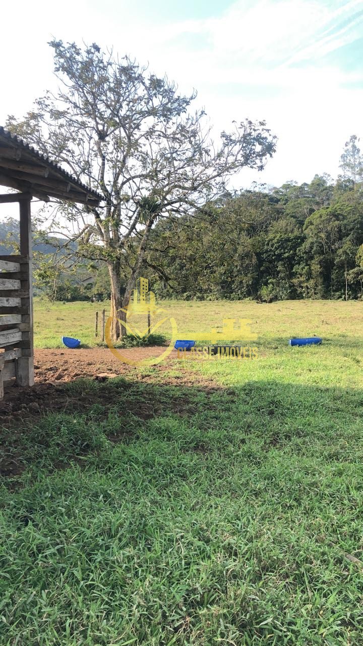 Terreno à venda em ilhota-sc, no bairro baú, com 20.000 m² d