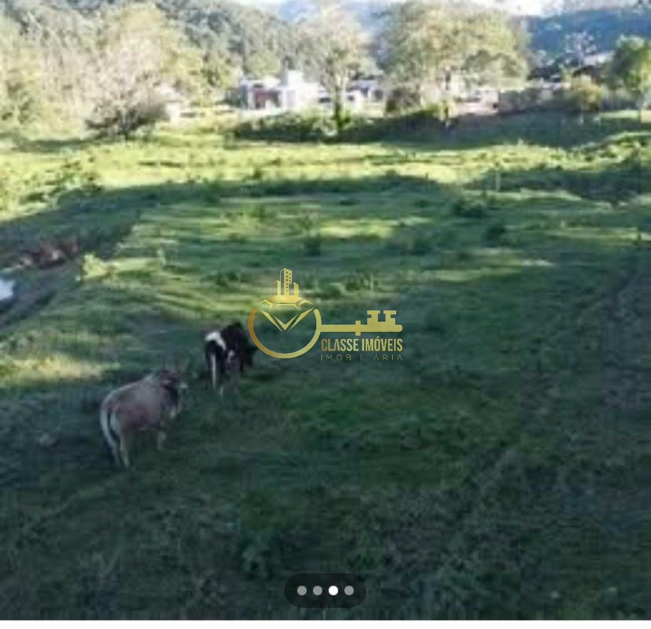 Terreno à venda em luiz alves-sc com 7.000m² de área - oport - foto 4