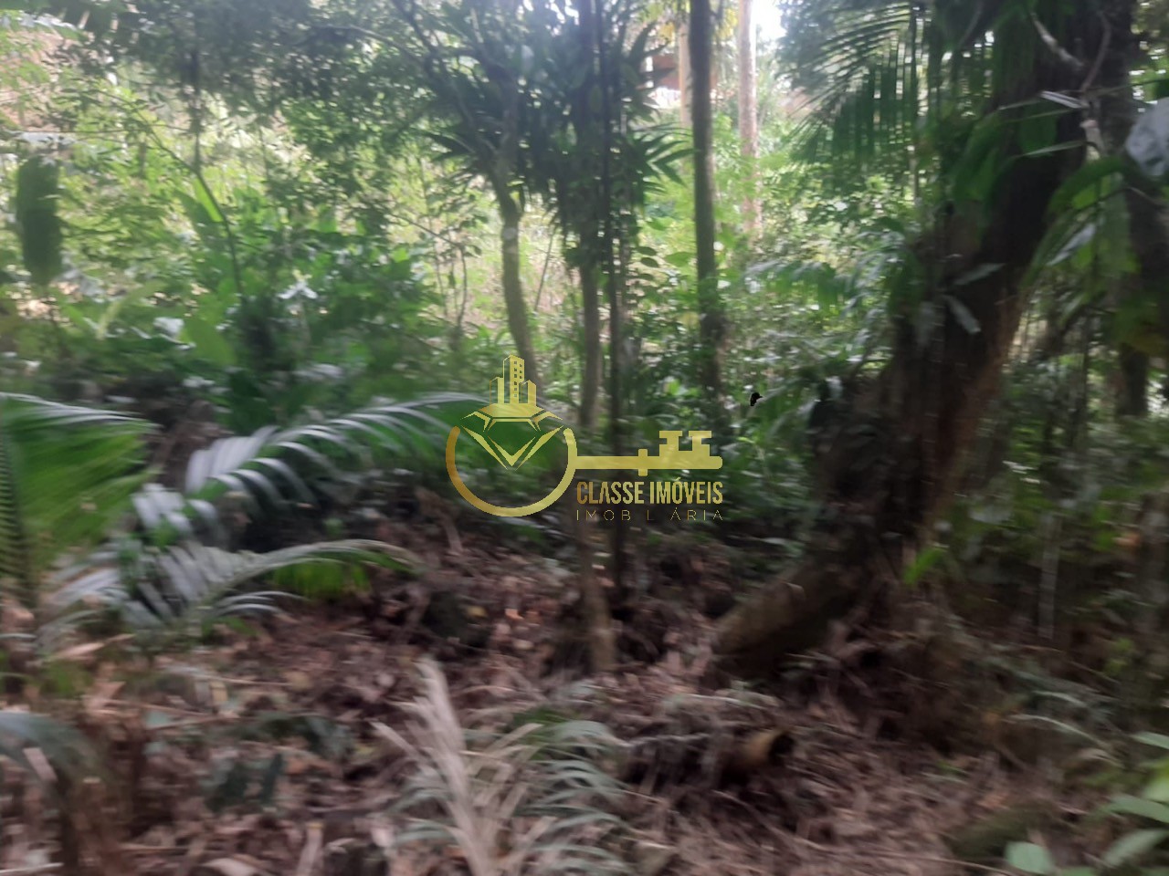 Terreno rural em luiz alves - sc, luiz alves