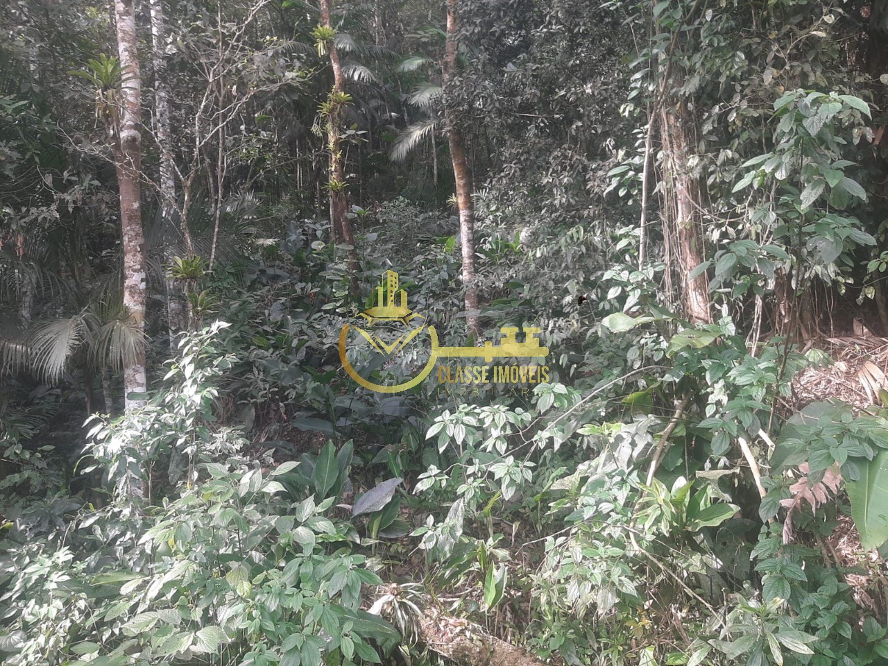 Terreno rural em luiz alves - sc, luiz alves