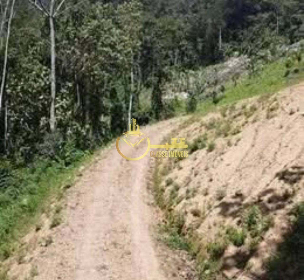Terreno à venda em massaranduba-sc 20.000 m² no bairro massa