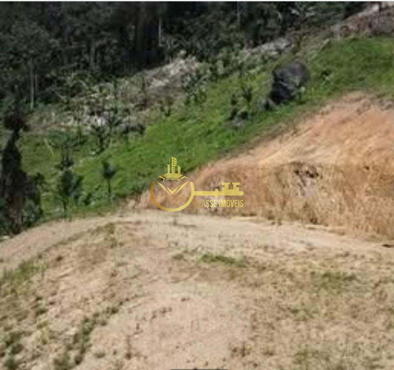 Terreno à venda em massaranduba-sc 20.000 m² no bairro massa