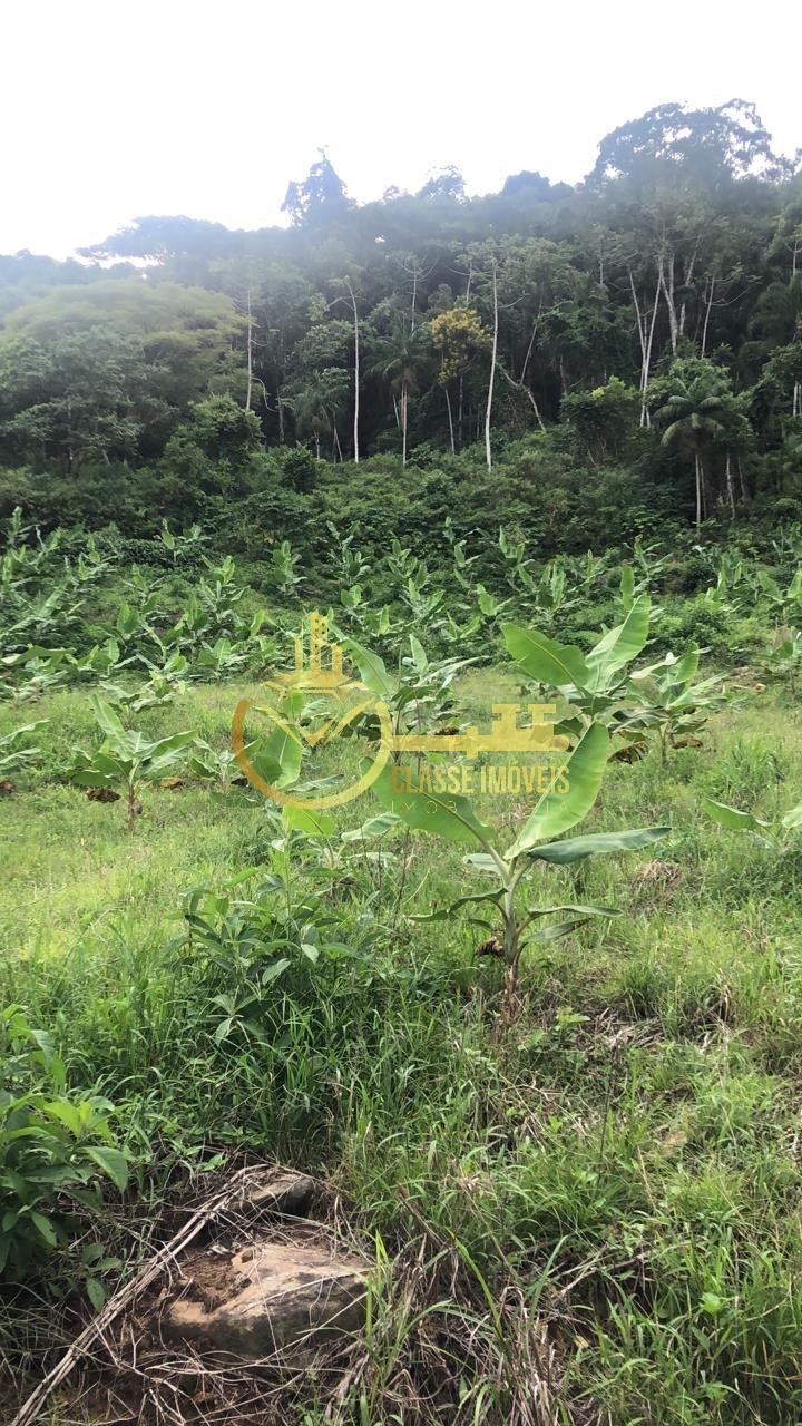 Terreno à venda na vila do salto, luiz alves-sc: 40.000m² de
