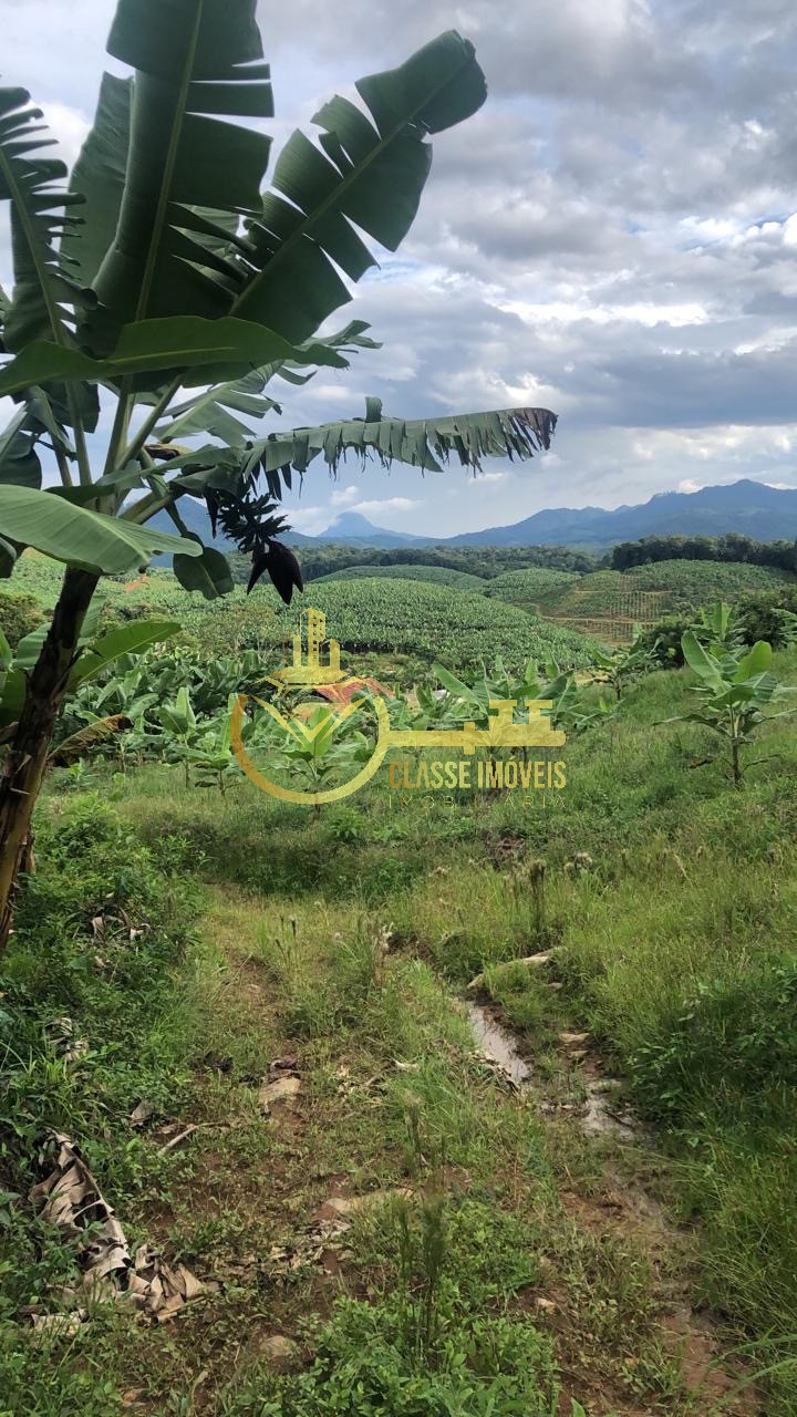 Terreno à venda na vila do salto, luiz alves-sc: 40.000m² de