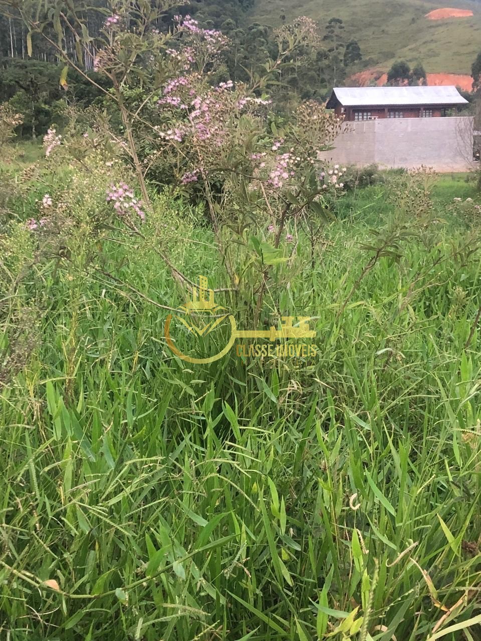 Terreno à venda em ilhota-sc, bairro ilhotinha, com 7.535,00
