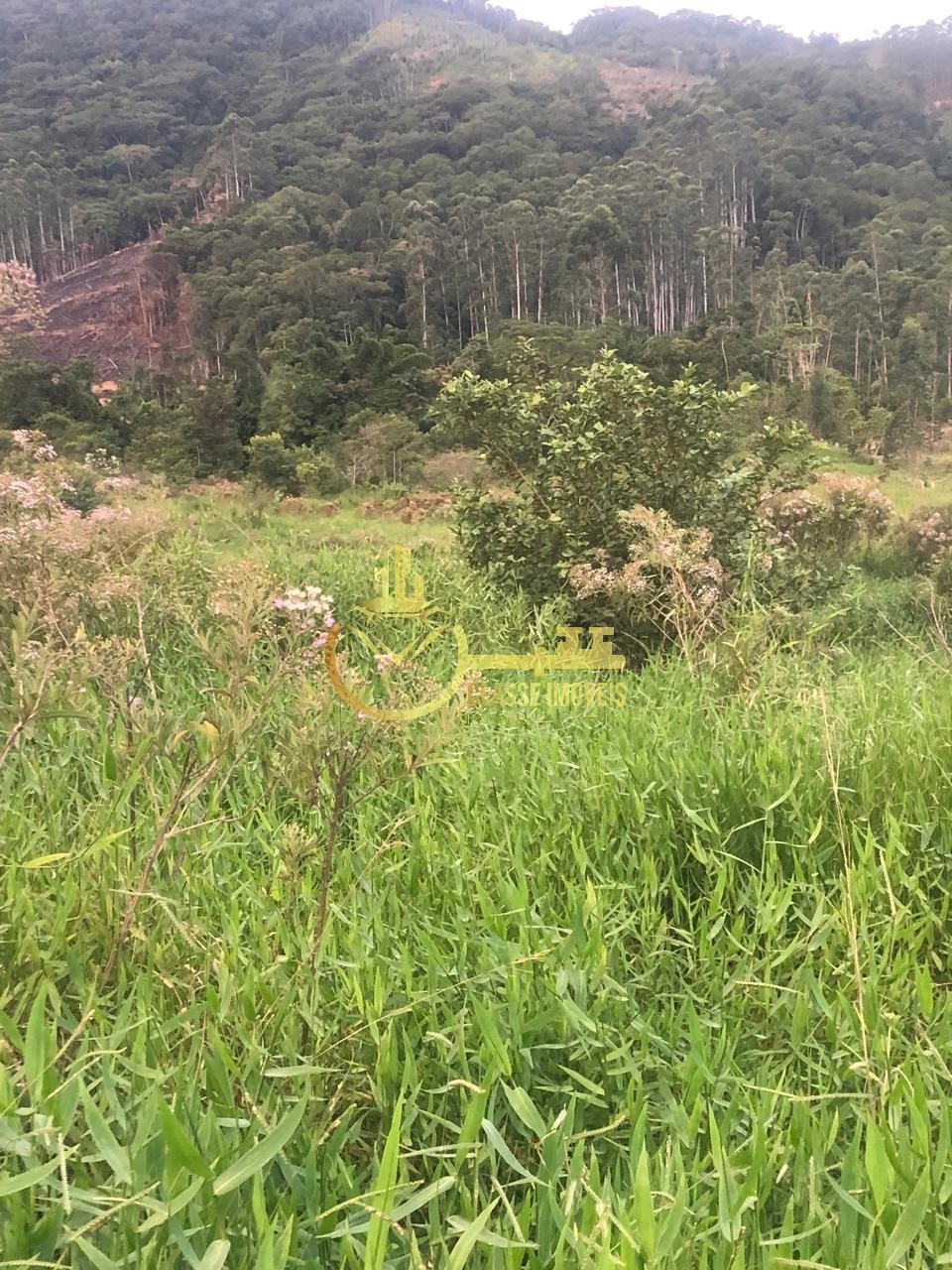 Terreno à venda em ilhota-sc, bairro ilhotinha, com 7.535,00