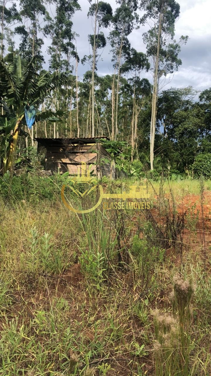 Terreno à venda na vila do salto, luiz alves-sc: 40.000m² de