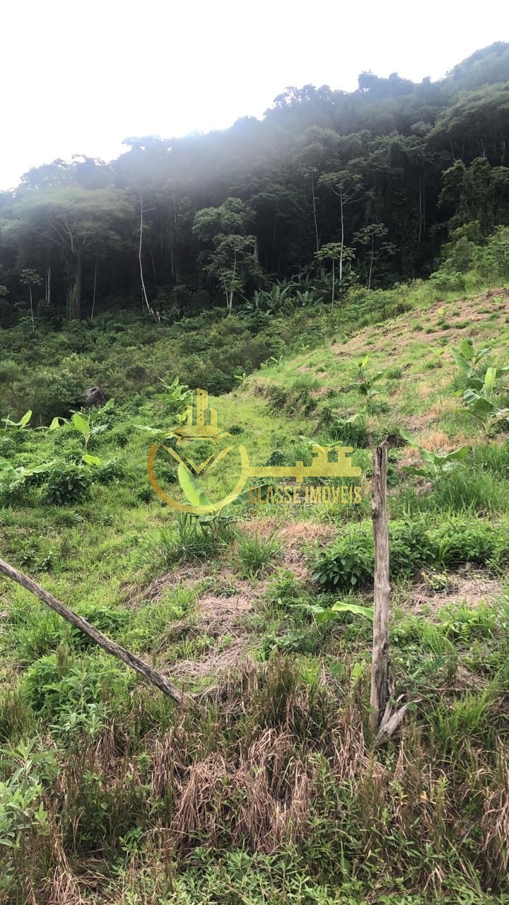 Terreno à venda na vila do salto, luiz alves-sc: 40.000m² de