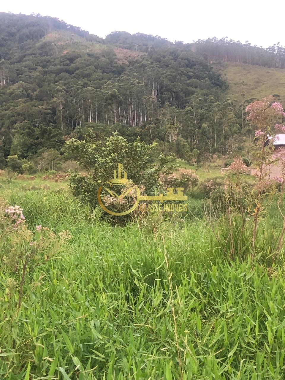 Terreno à venda em ilhota-sc, bairro ilhotinha, com 7.535,00