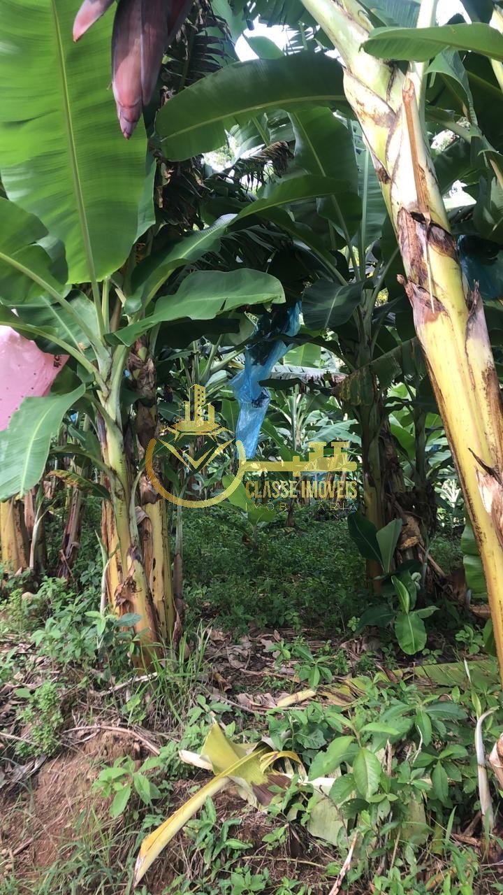 Terreno à venda na vila do salto, luiz alves-sc: 40.000m² de