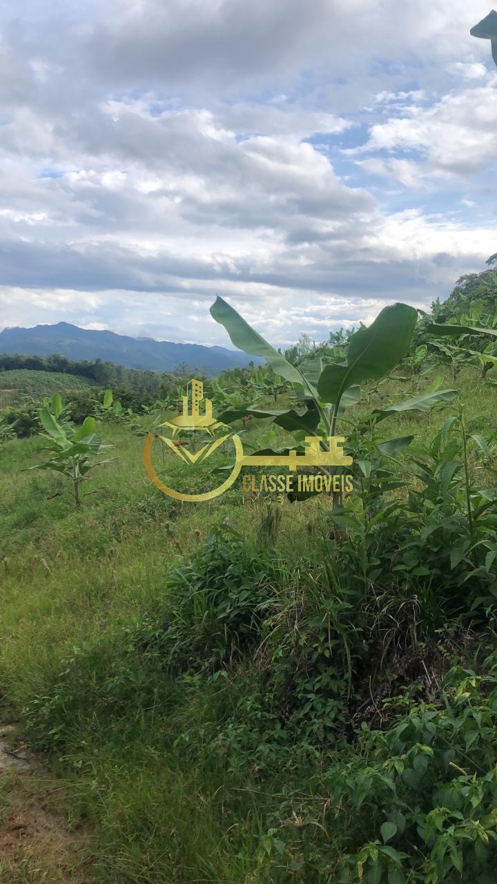 Terreno à venda na vila do salto, luiz alves-sc: 40.000m² de