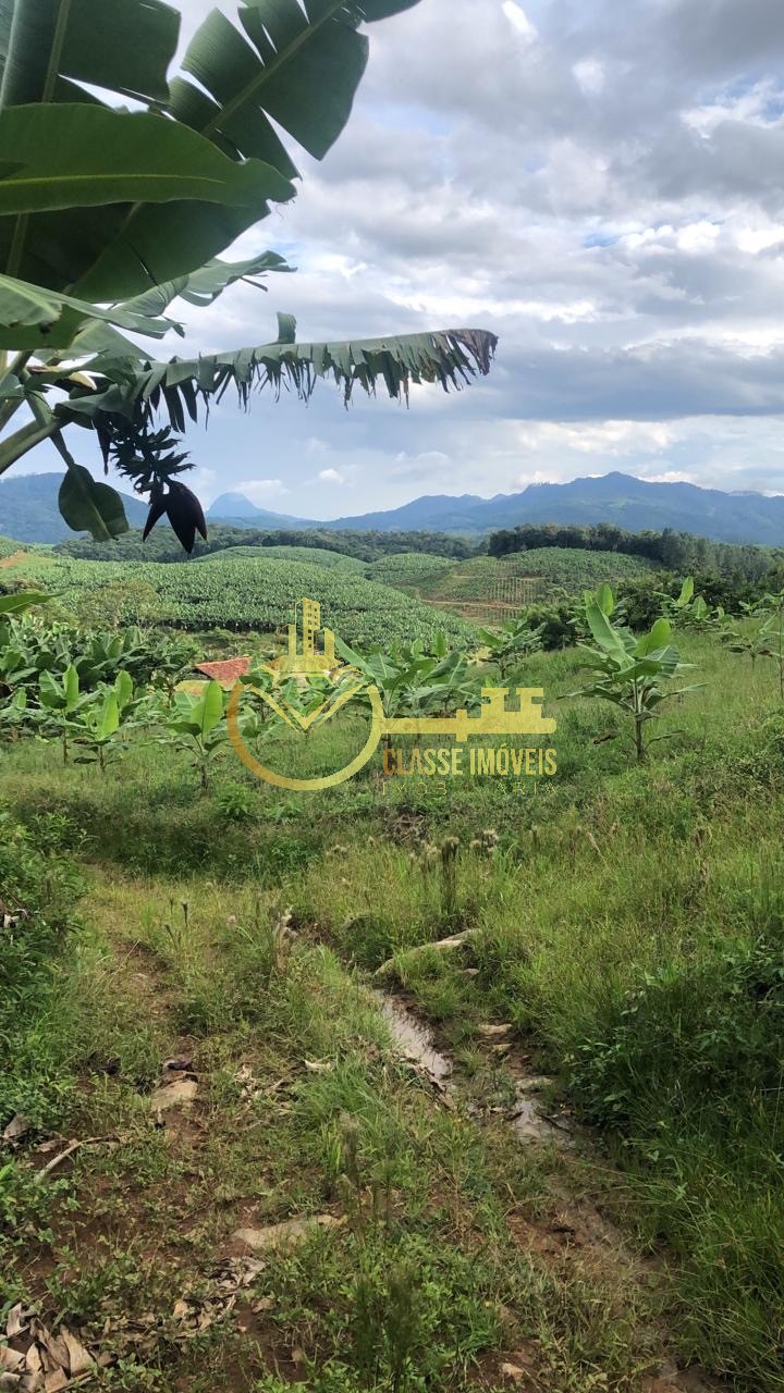 Terreno à venda na vila do salto, luiz alves-sc: 40.000m² de