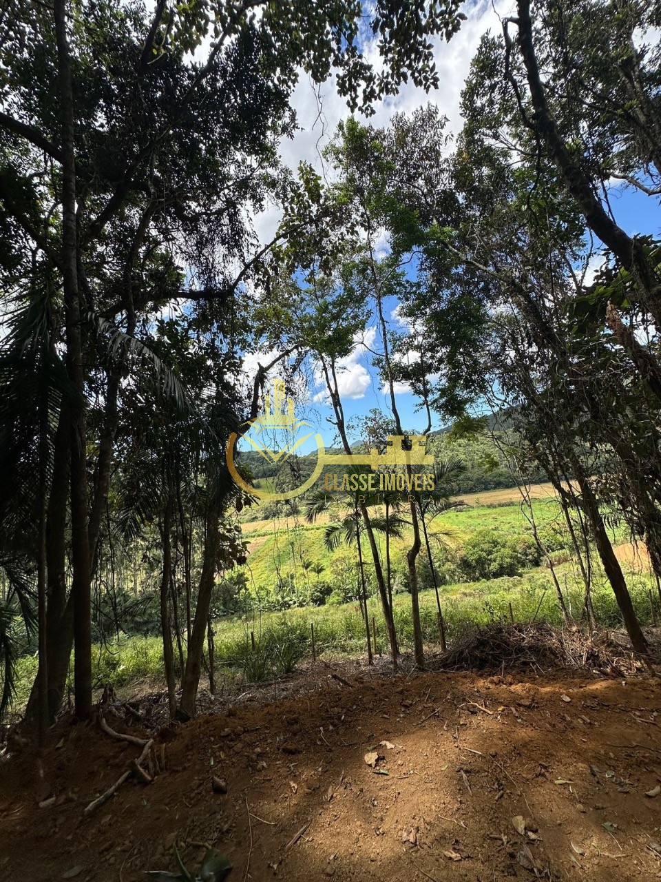 Terreno rural em luiz alves - sc, laranjeiras