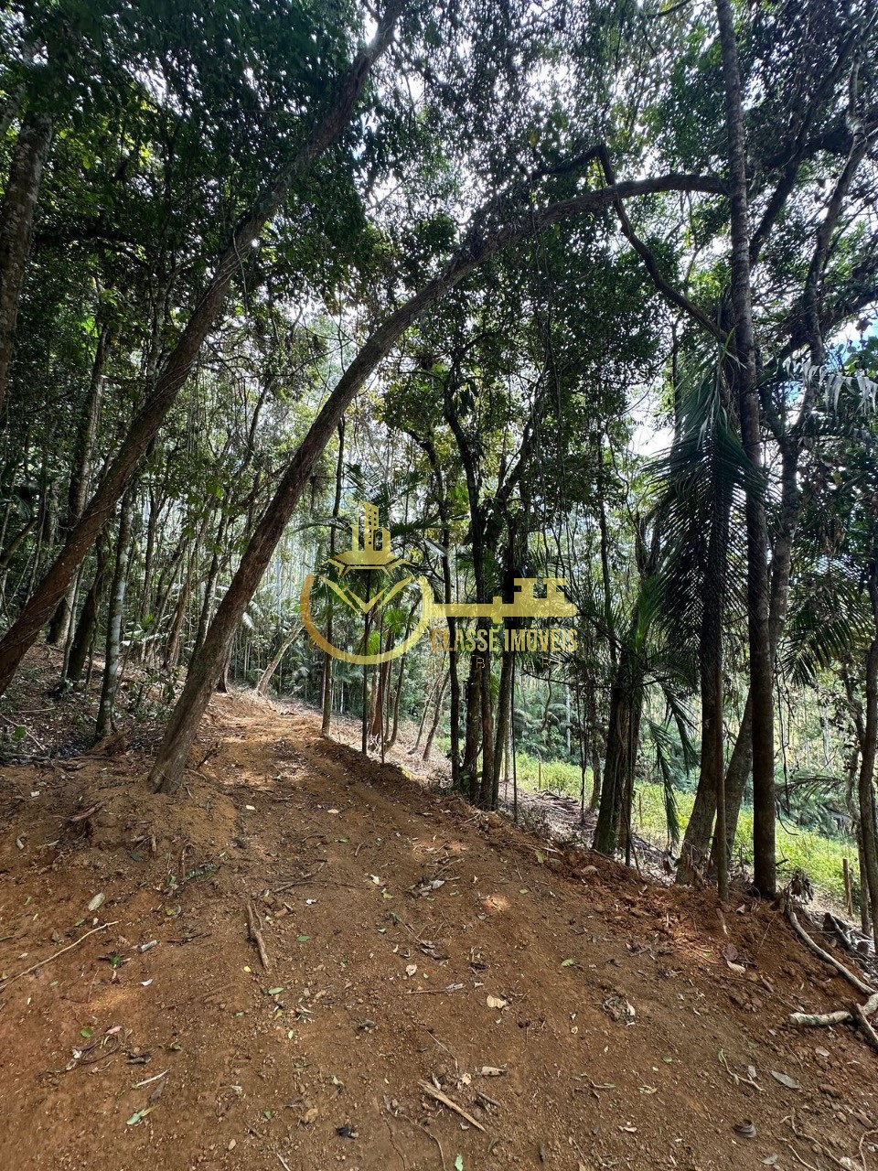 Terreno rural em luiz alves - sc, laranjeiras
