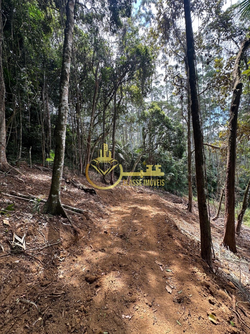 Terreno rural em luiz alves - sc, laranjeiras
