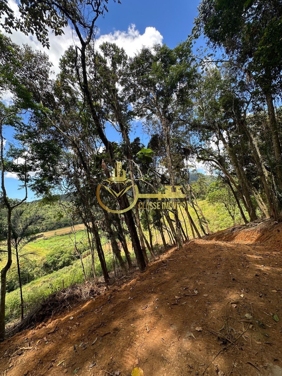 Terreno rural em luiz alves - sc, laranjeiras