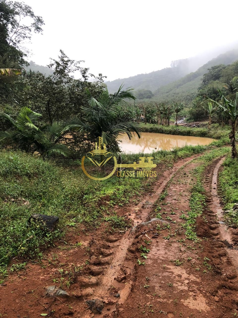 Terreno à venda em ilhota-sc, no bairro baú, com 10.000m² de