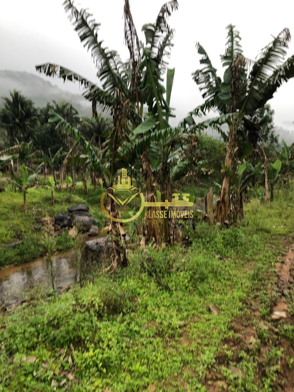 Terreno à venda em ilhota-sc, no bairro baú, com 10.000m² de