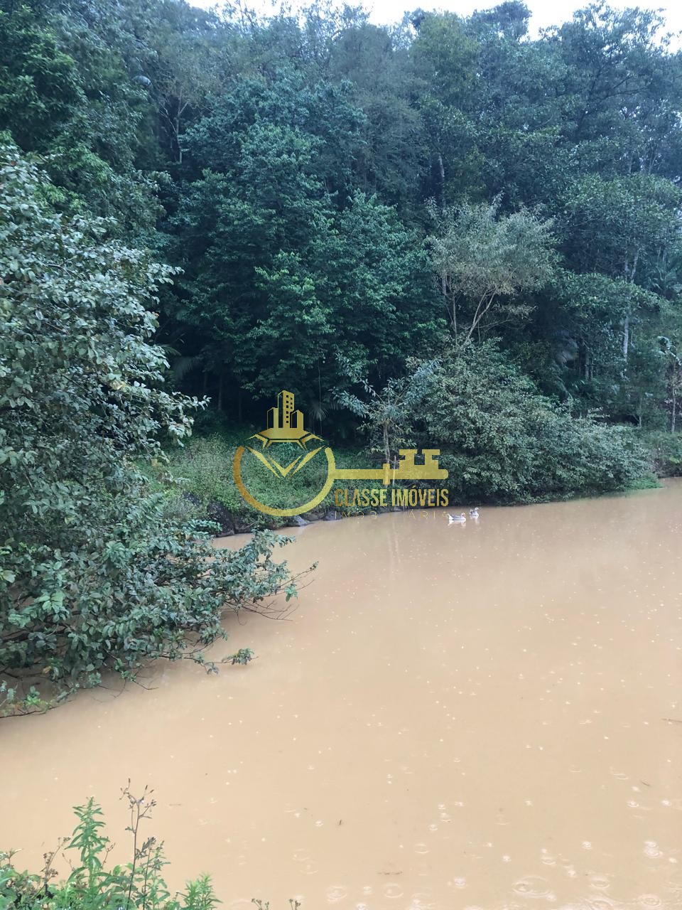 Terreno à venda em ilhota-sc, no bairro baú, com 10.000m² de