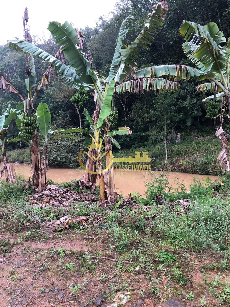 Terreno à venda em ilhota-sc, no bairro baú, com 10.000m² de