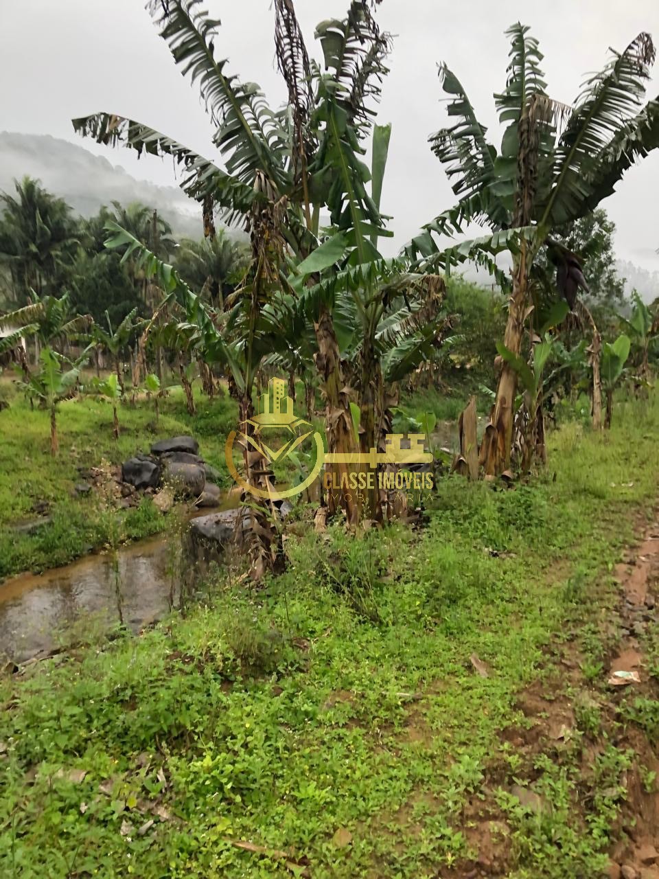 Terreno à venda em ilhota-sc, no bairro baú, com 10.000m² de