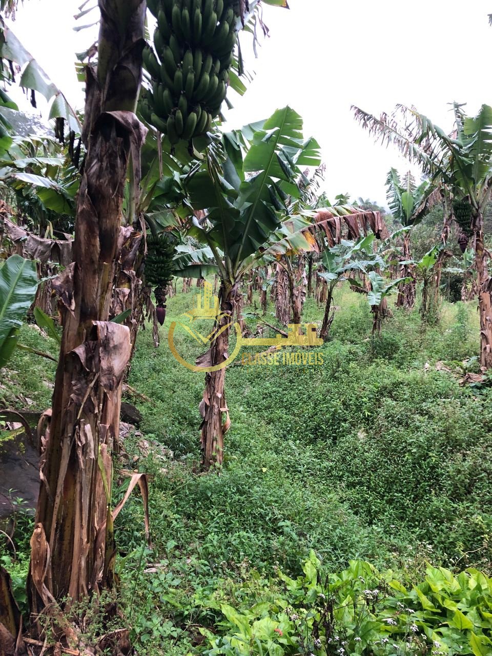 Terreno à venda em ilhota-sc, no bairro baú, com 10.000m² de