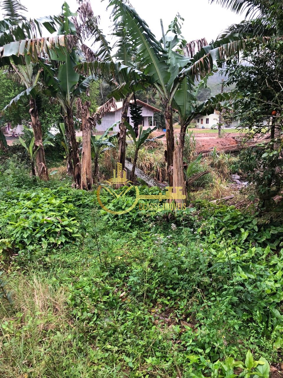 Terreno à venda em ilhota-sc, no bairro baú, com 10.000m² de