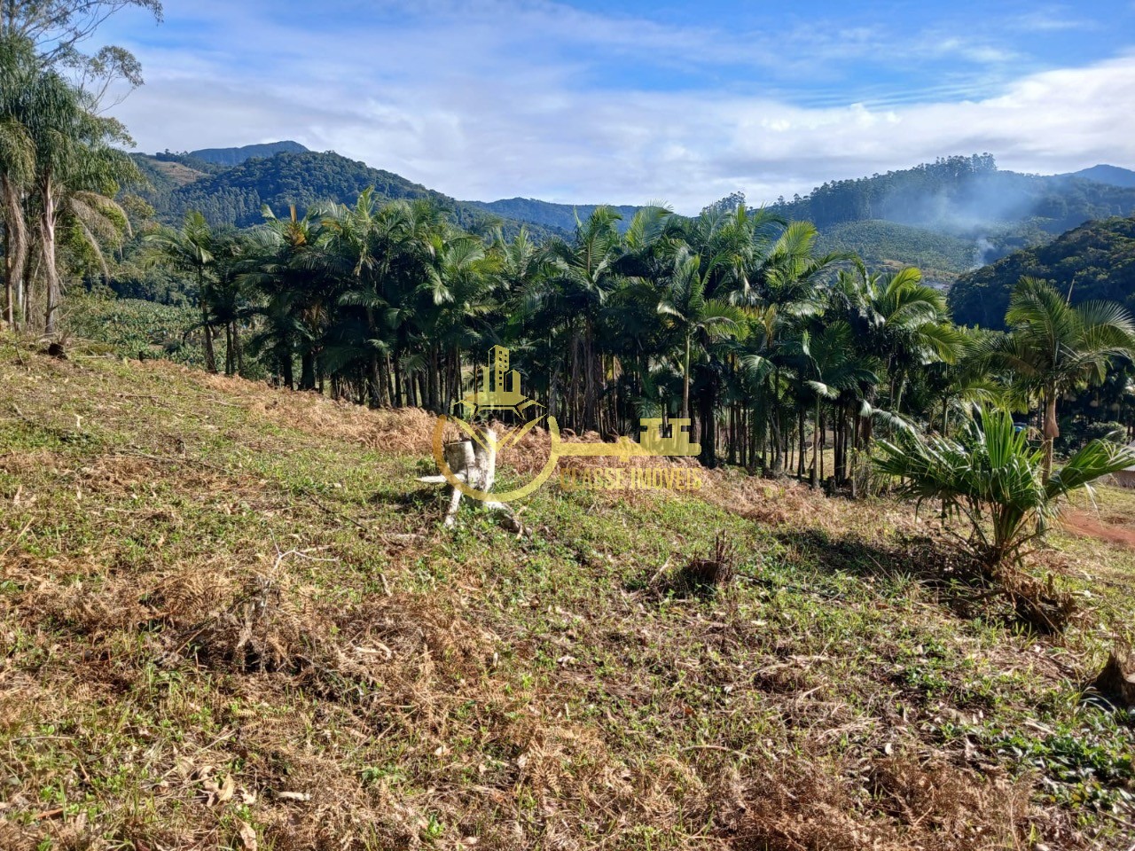 Terreno à venda em Luiz Alves-SC, bairro Luiz Alvez, 2.000m² de área!