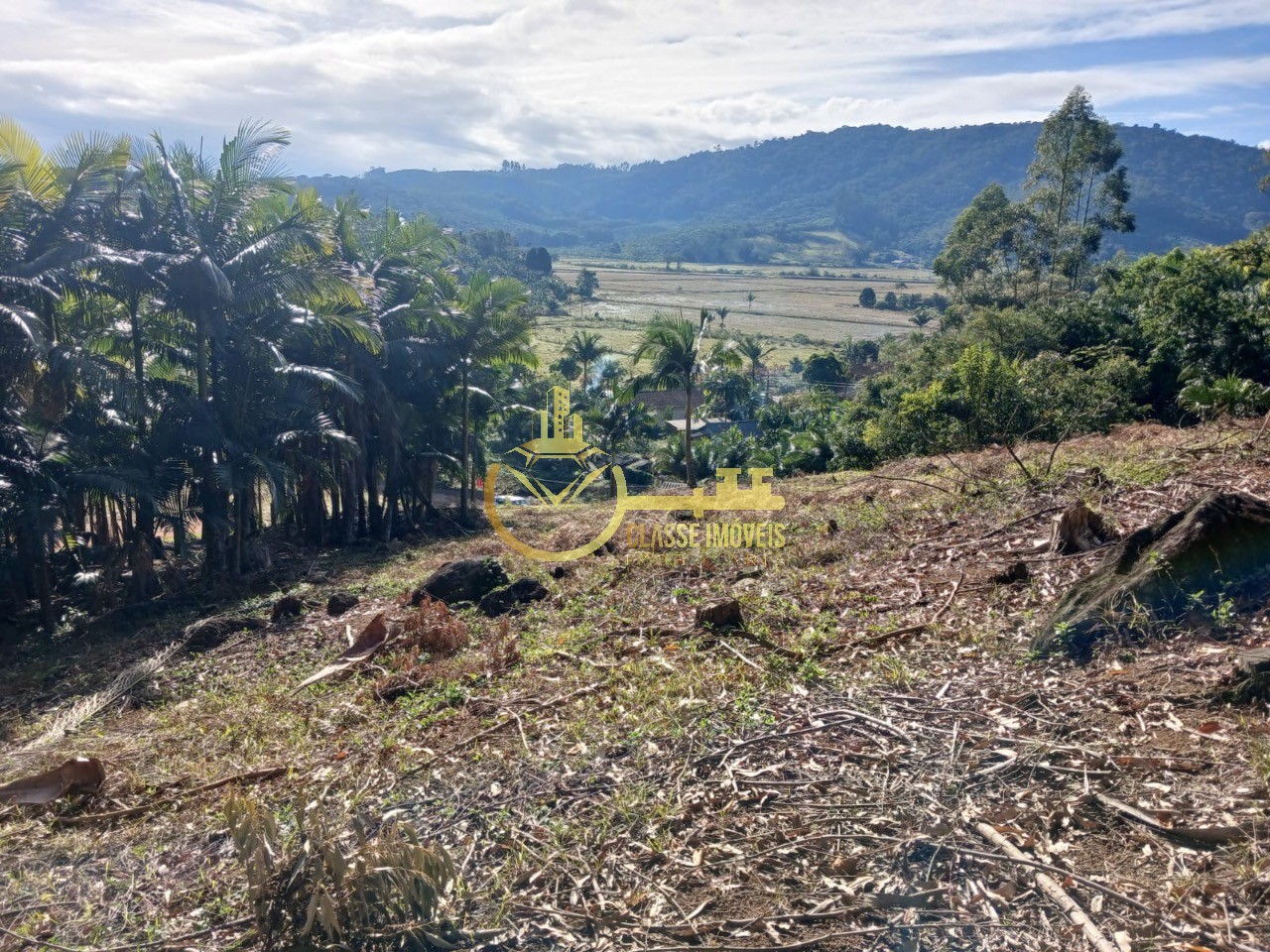 Terreno à venda em Luiz Alves-SC, bairro Luiz Alvez, 2.000m² de área!