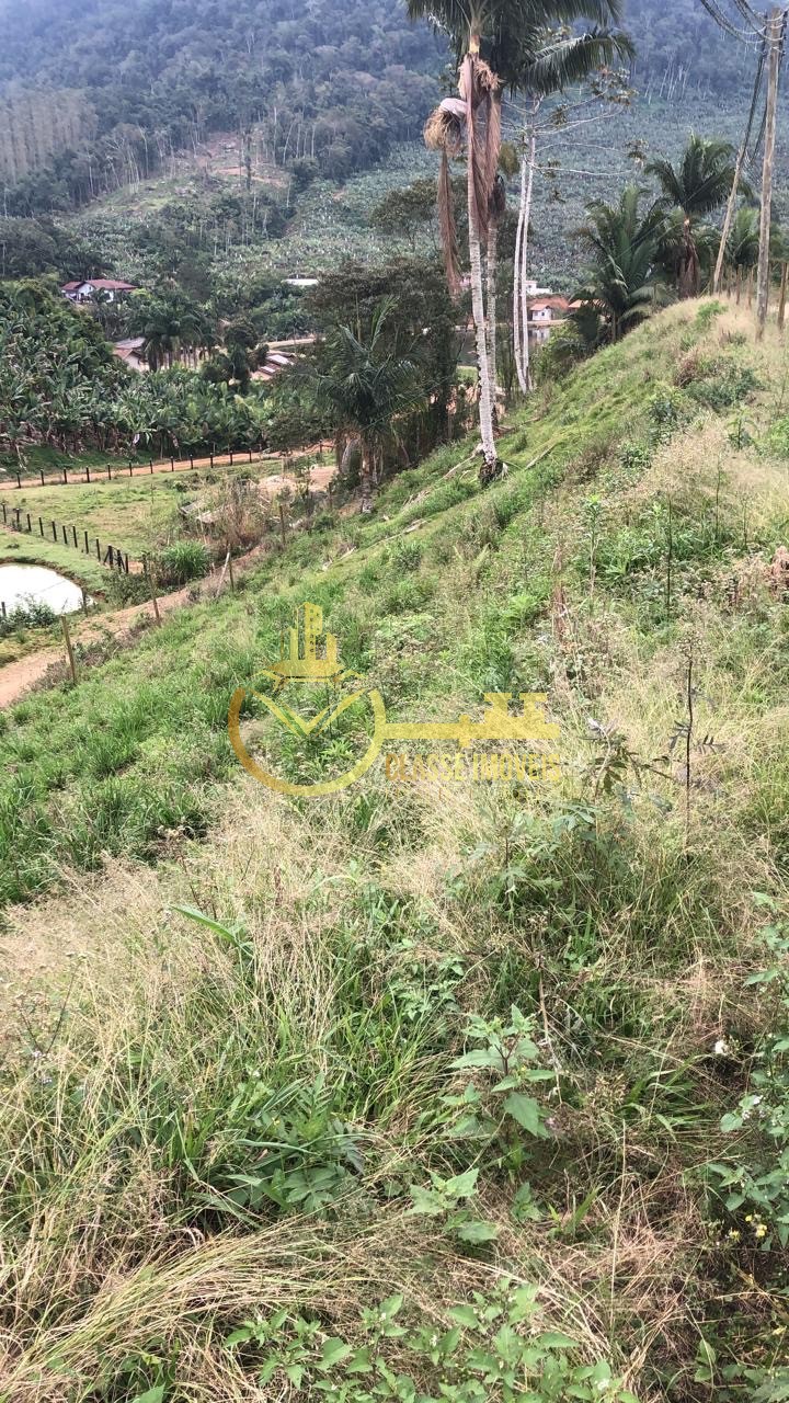 Oportunidade única: Terreno à venda em Luiz Alves-SC, no bairro Luiz Alves, com 8.000 m² de área!