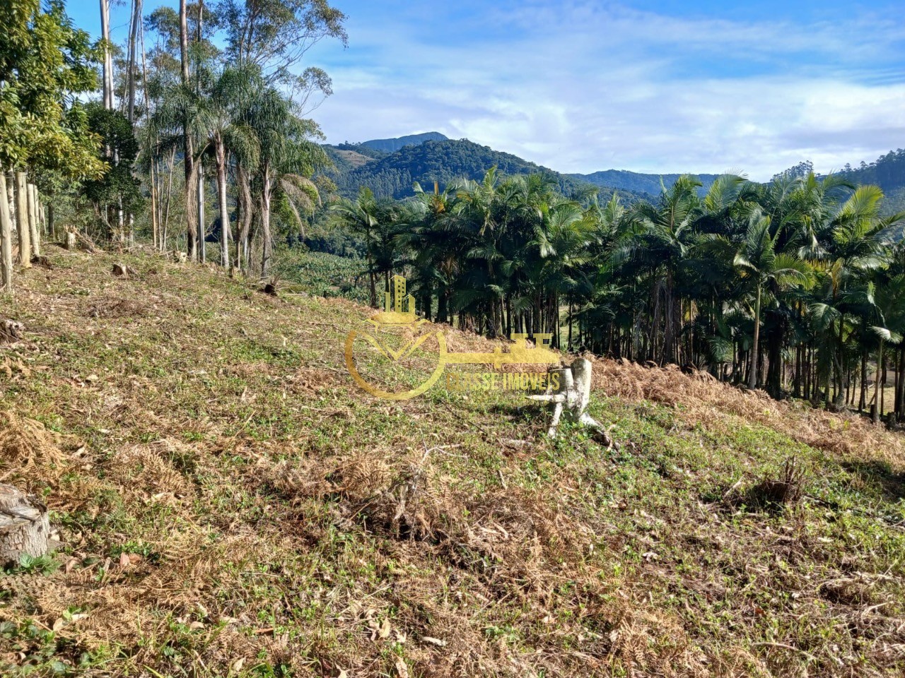 Terreno à venda em Luiz Alves-SC, bairro Luiz Alvez, 2.000m² de área!