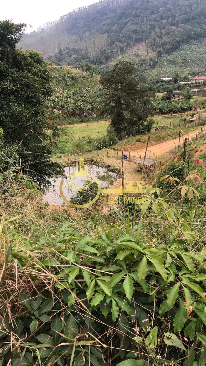 Oportunidade única: Terreno à venda em Luiz Alves-SC, no bairro Luiz Alves, com 8.000 m² de área!