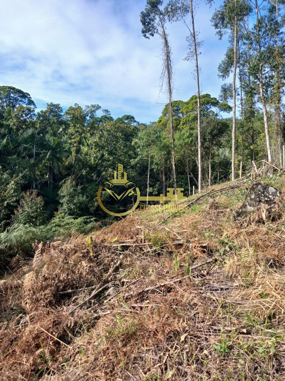 Terreno à venda em Luiz Alves-SC, bairro Luiz Alvez, 2.000m² de área!