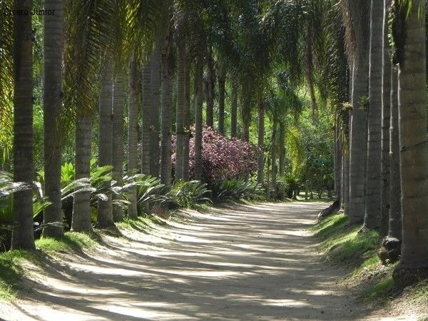 Area industrial em itupeva - sp, morro alto