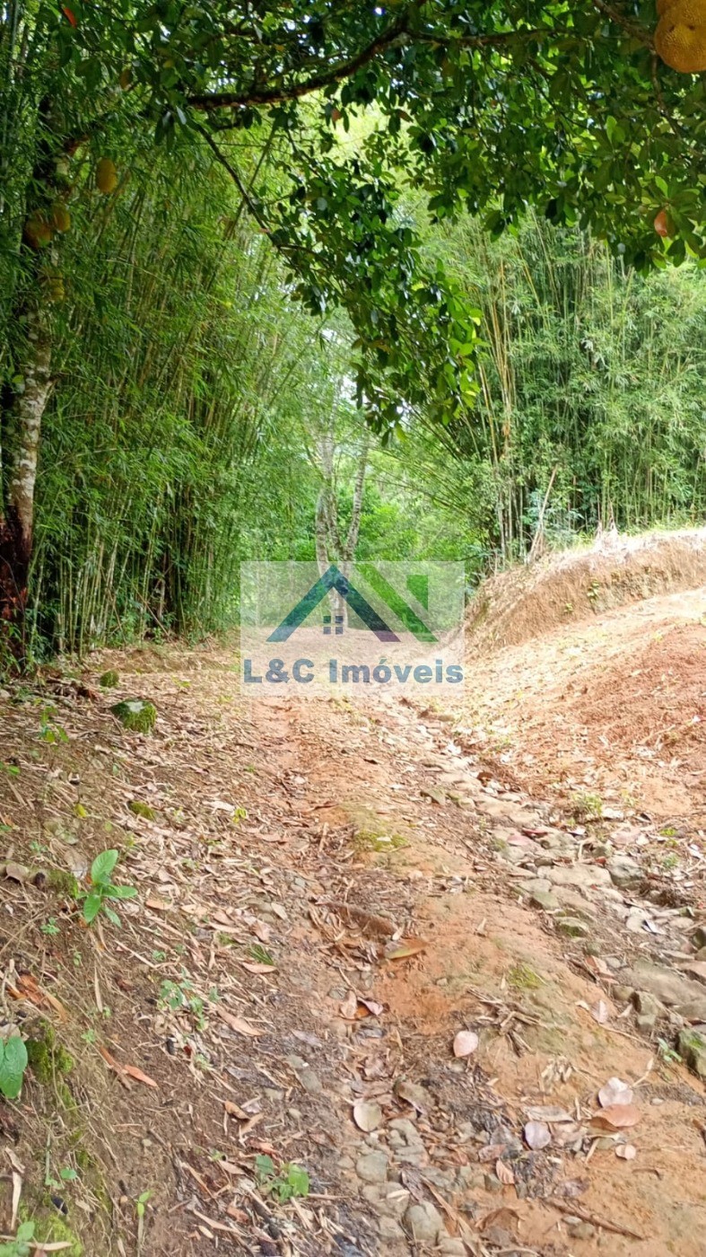 Chácara, 2 quartos - Foto 11