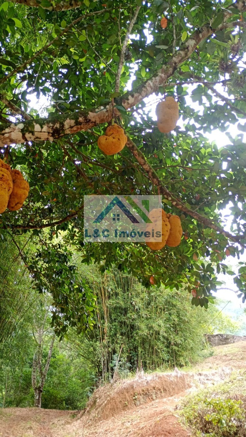 Chácara, 2 quartos - Foto 20