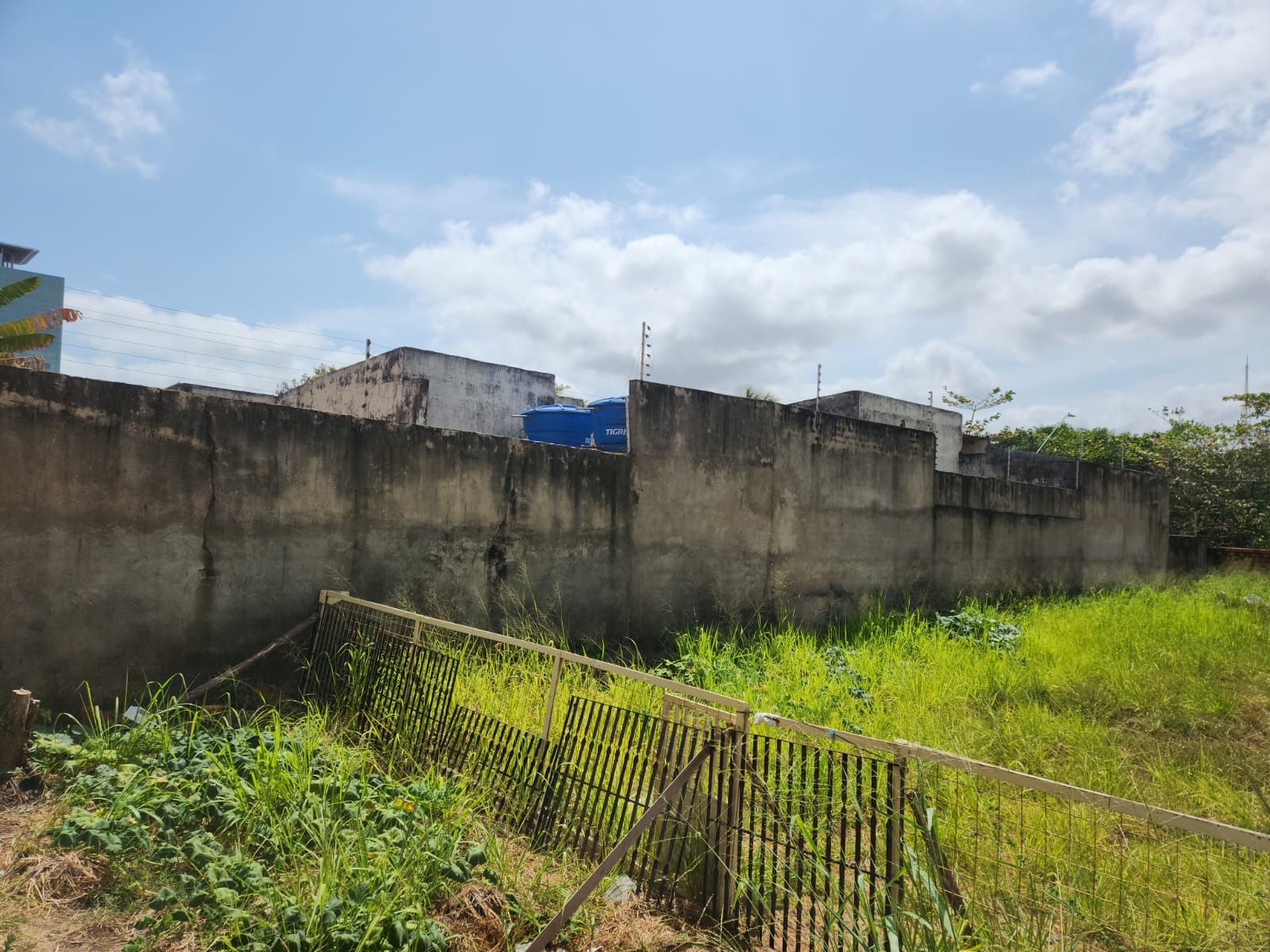 Terreno para locacao na peninsula
