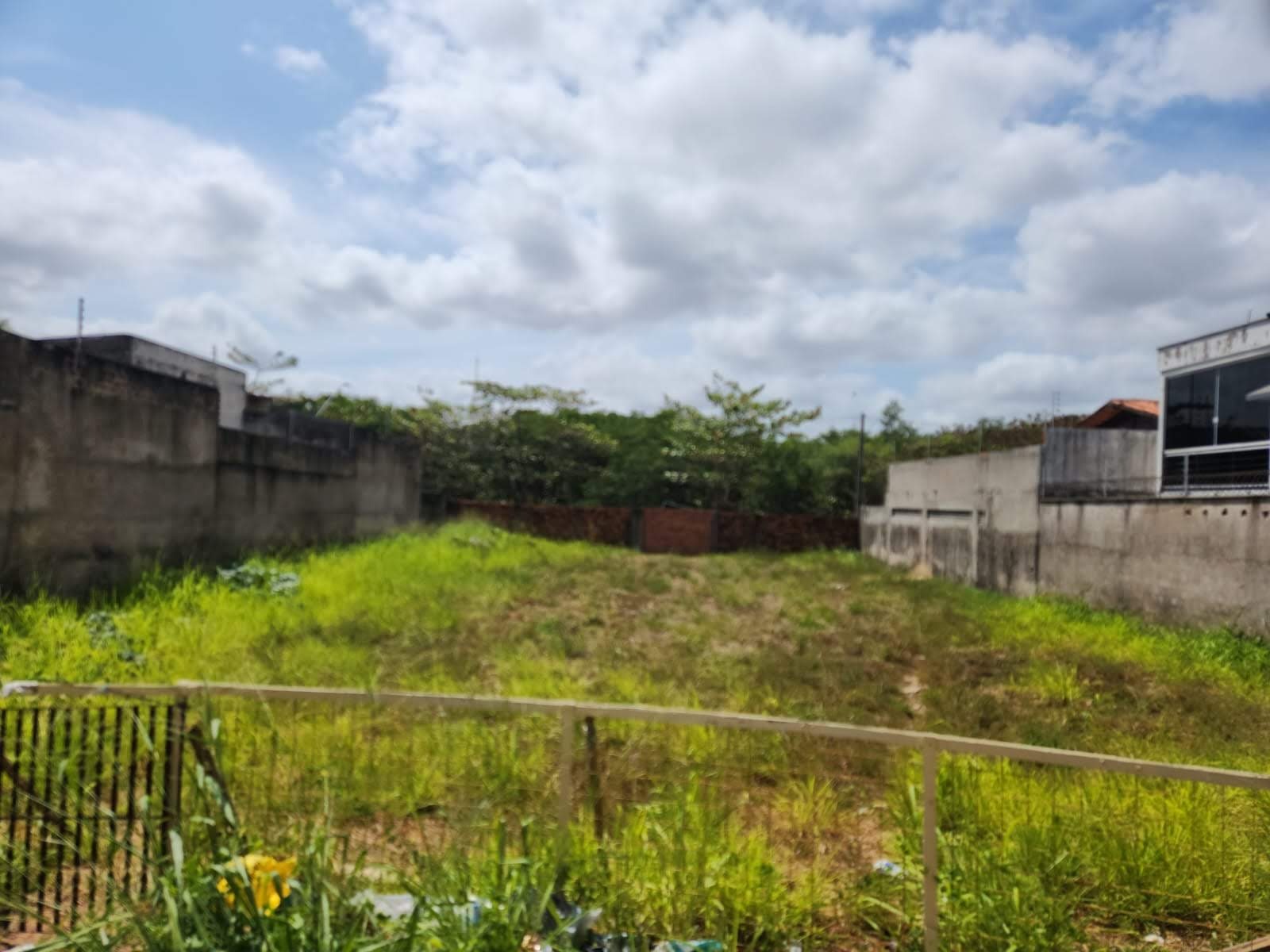 Terreno para locacao na peninsula