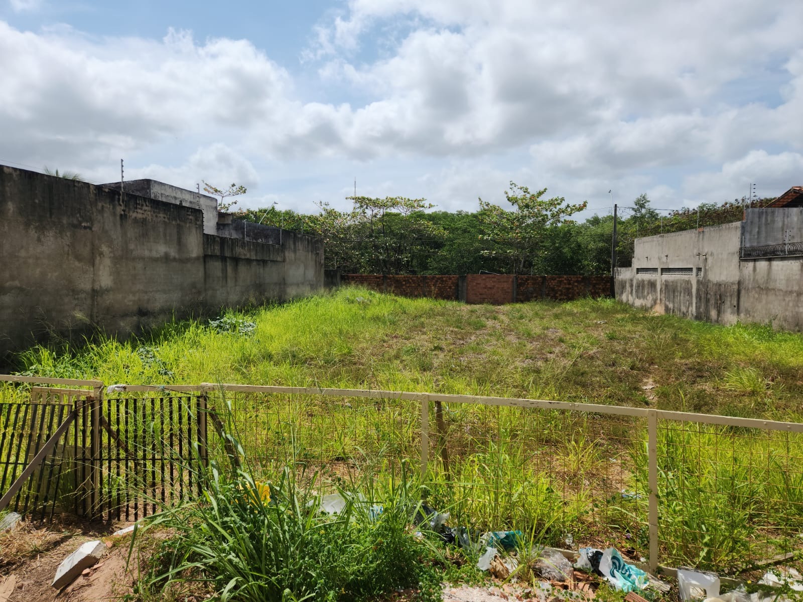 Terreno para locacao na peninsula
