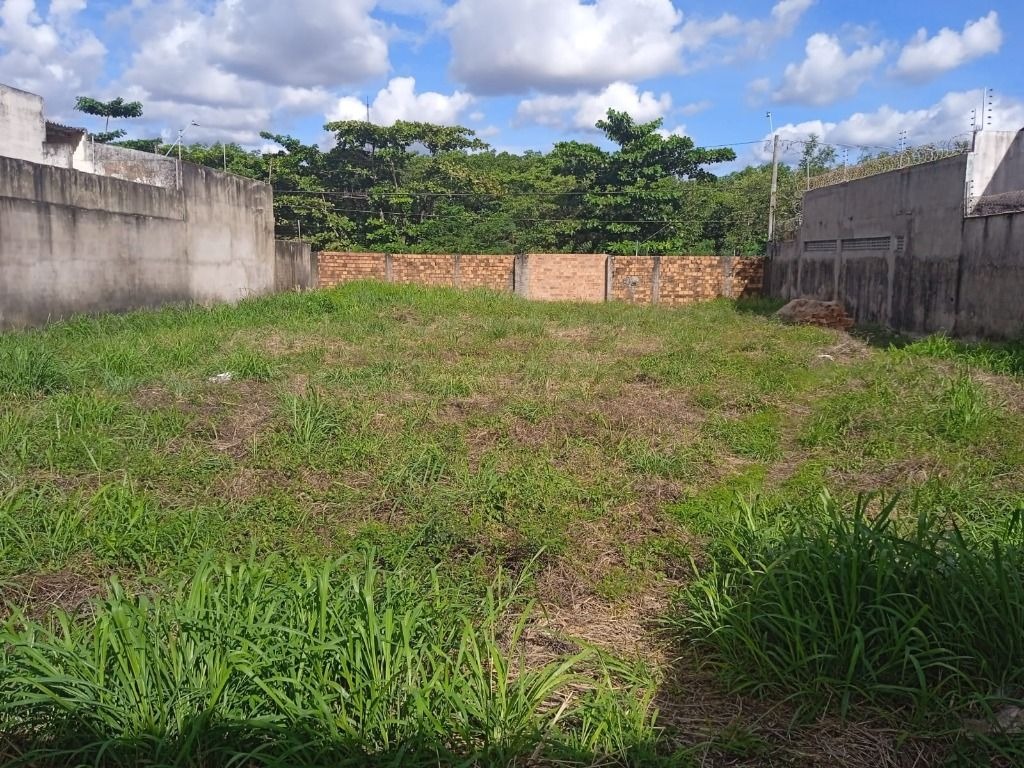 Terreno para locacao na peninsula