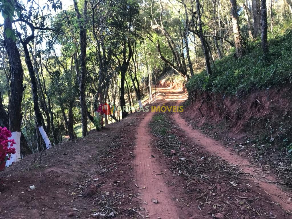 Terreno em santo antônio do pinhal-
