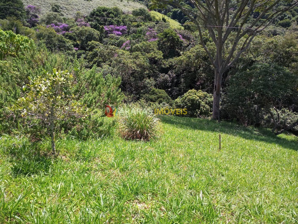 Terreno de 6.000,00 m² - no valor de R$ 700,000,00 - sapucaí