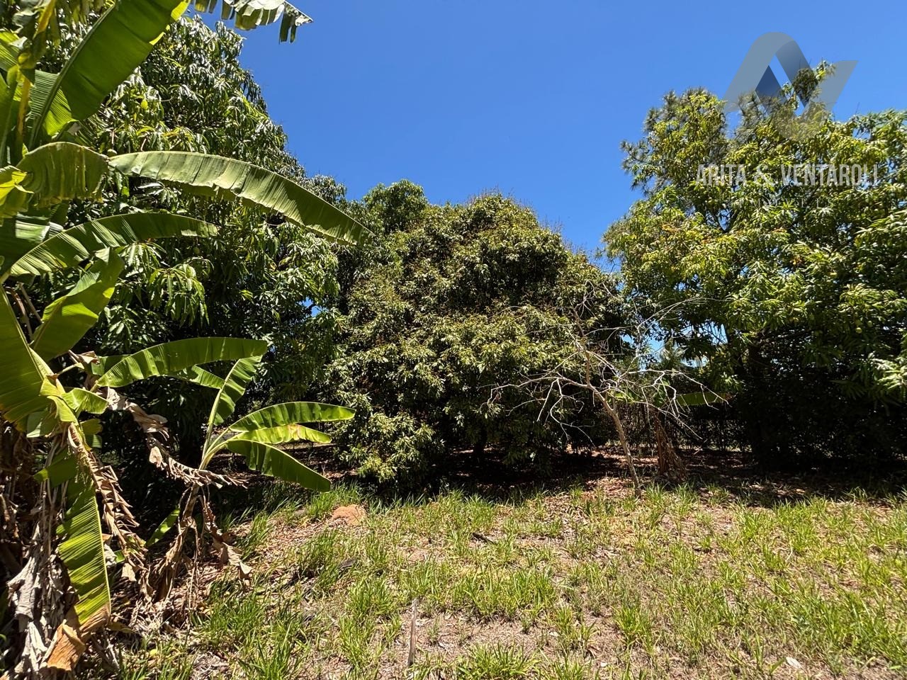 Terreno, 2350 m² - Foto 14