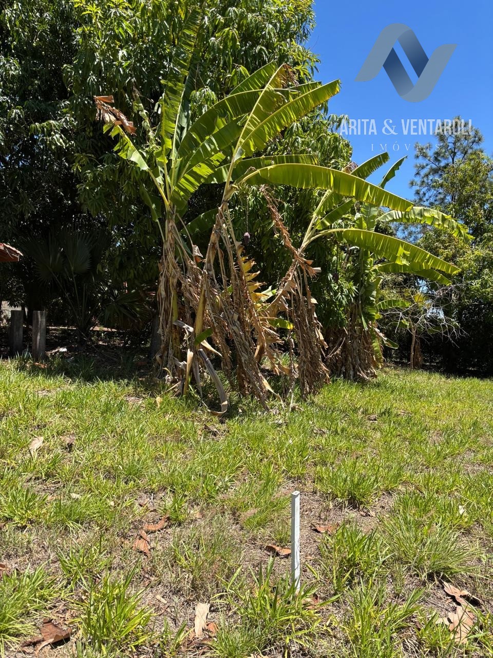 Terreno, 2350 m² - Foto 10