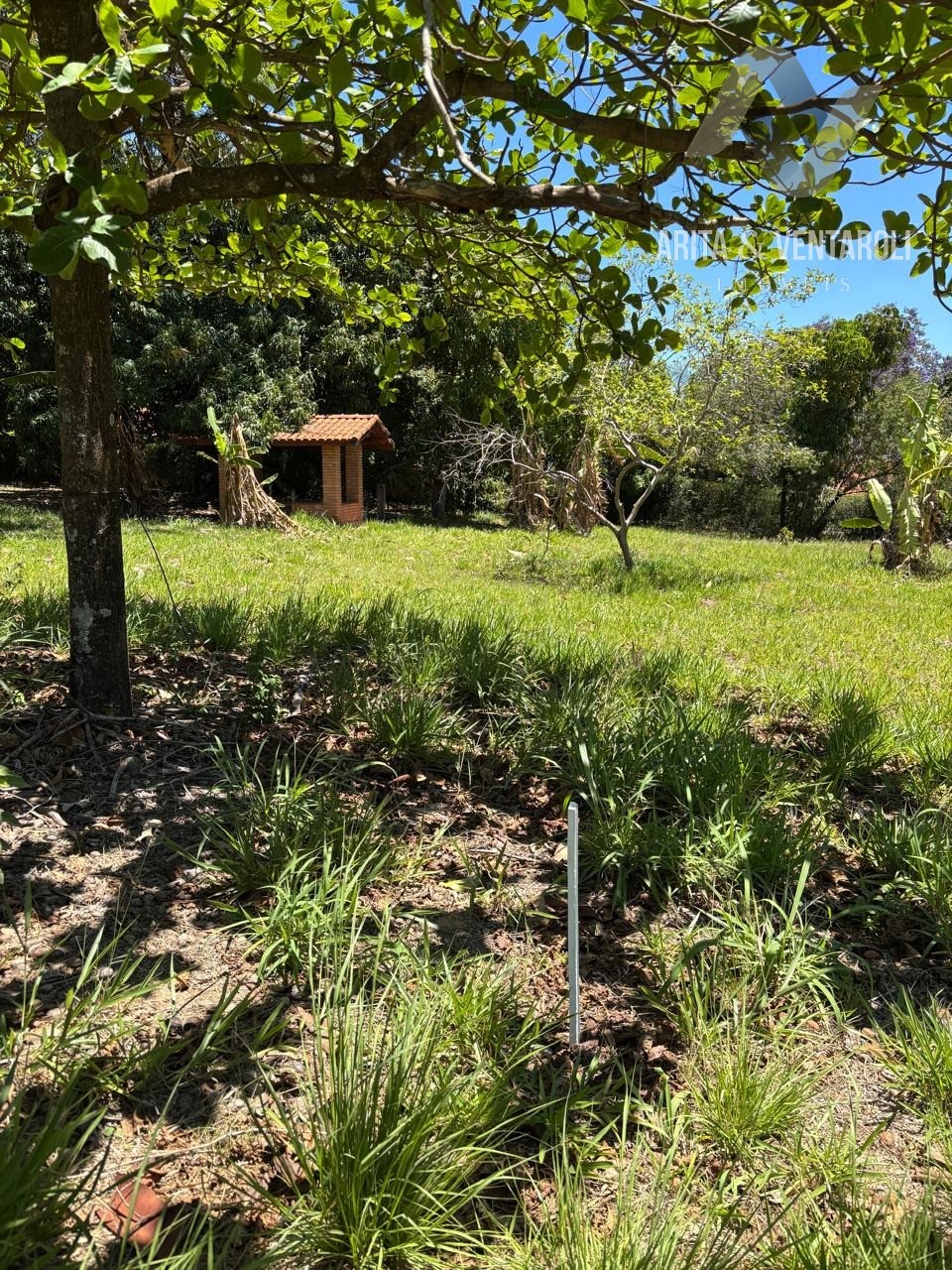 Terreno, 2350 m² - Foto 9